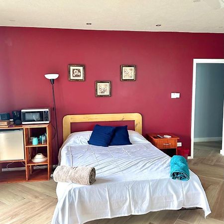 Shkyblue Suites Christchurch Eksteriør billede